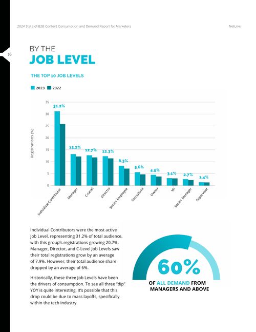 Netline 2024年B2B內(nèi)容使用與需求報告 數(shù)字文化創(chuàng)意內(nèi)容應(yīng)用服務(wù)的變革與機遇