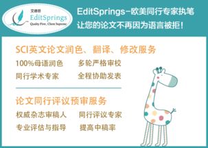 專業(yè)學(xué)術(shù)翻譯服務(wù)流程 editsprings來(lái)揭秘